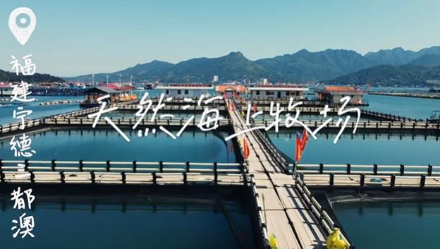 海上牧场