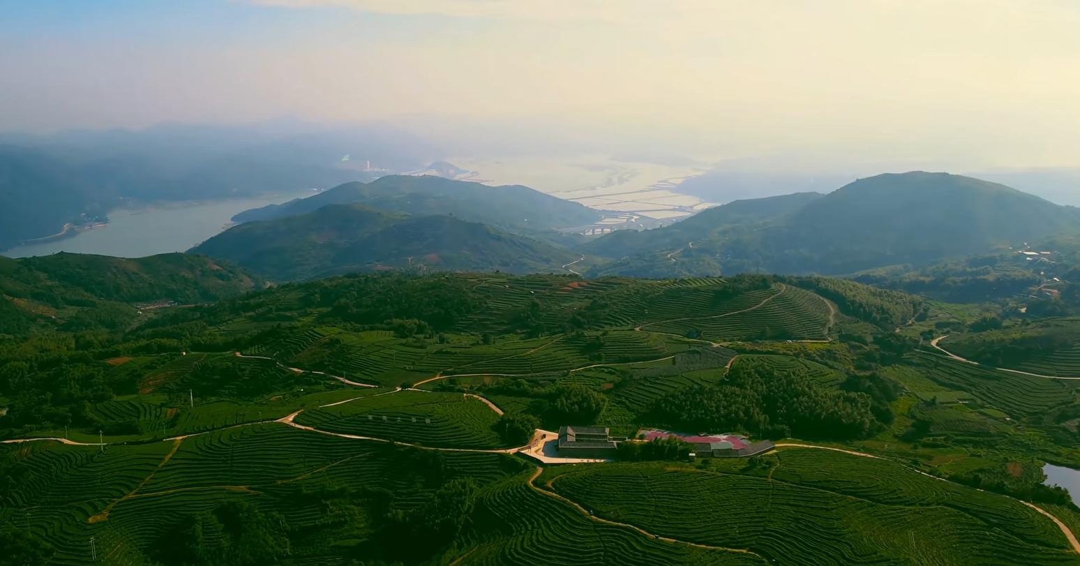 茶山梯田